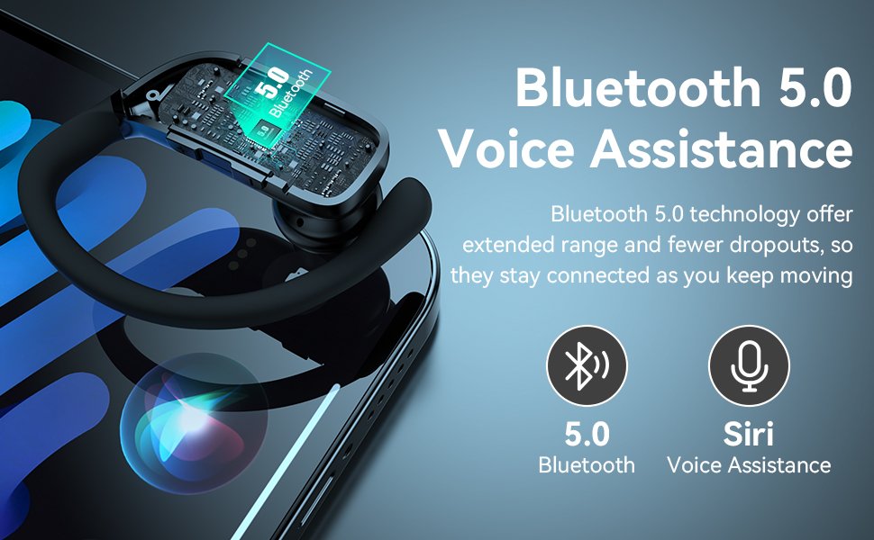 Bluetooth 5.0 & Voice Assistant